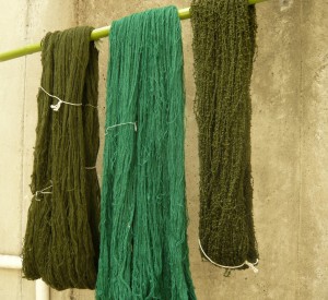 糸染め(乾燥2)